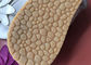 চামড়া উন্মুক্ত পায়ে বাচ্চাদের ফ্ল্যাট স্যান্ডেল শ্বাস প্রশ্বাসের নরম EURO 19 - 22