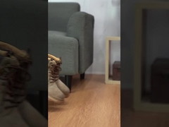 পুরুষদের স্পোর্টস জুতা, অ্যান্টি-স্লিপ এবং পরিধান-প্রতিরোধী জুতা